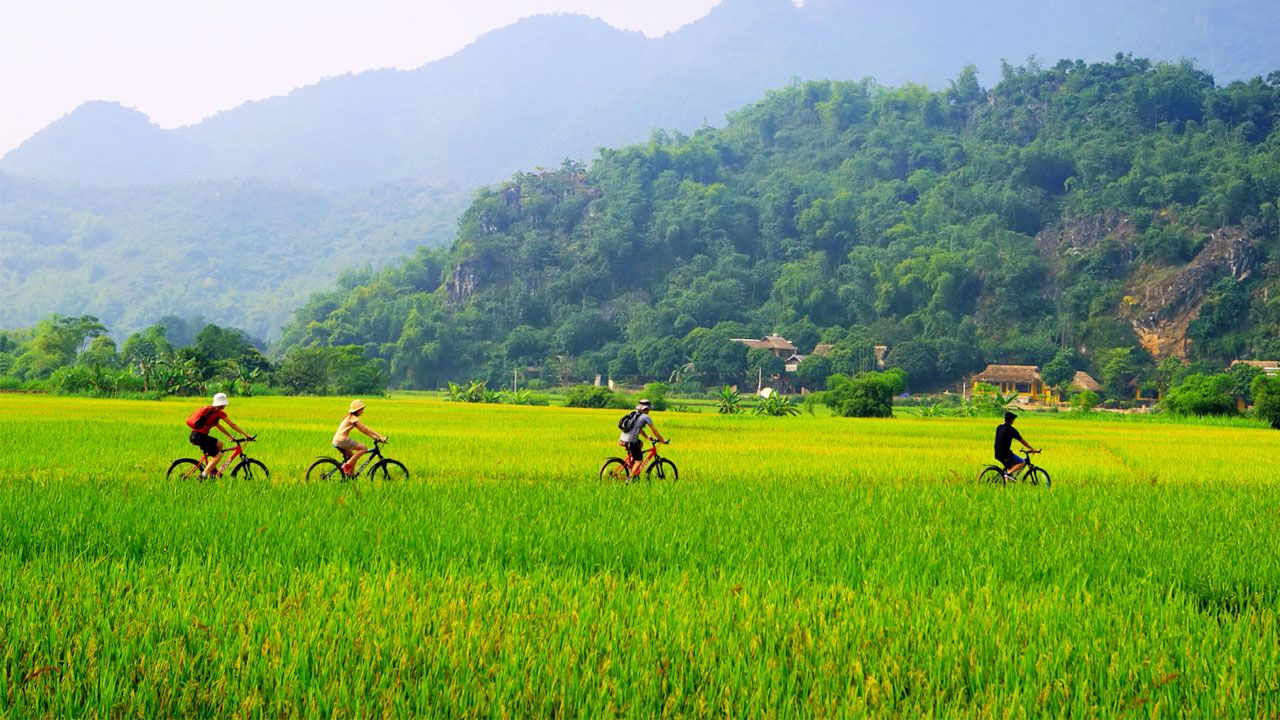 Ninh-Binh-cycling-tour001.jpg