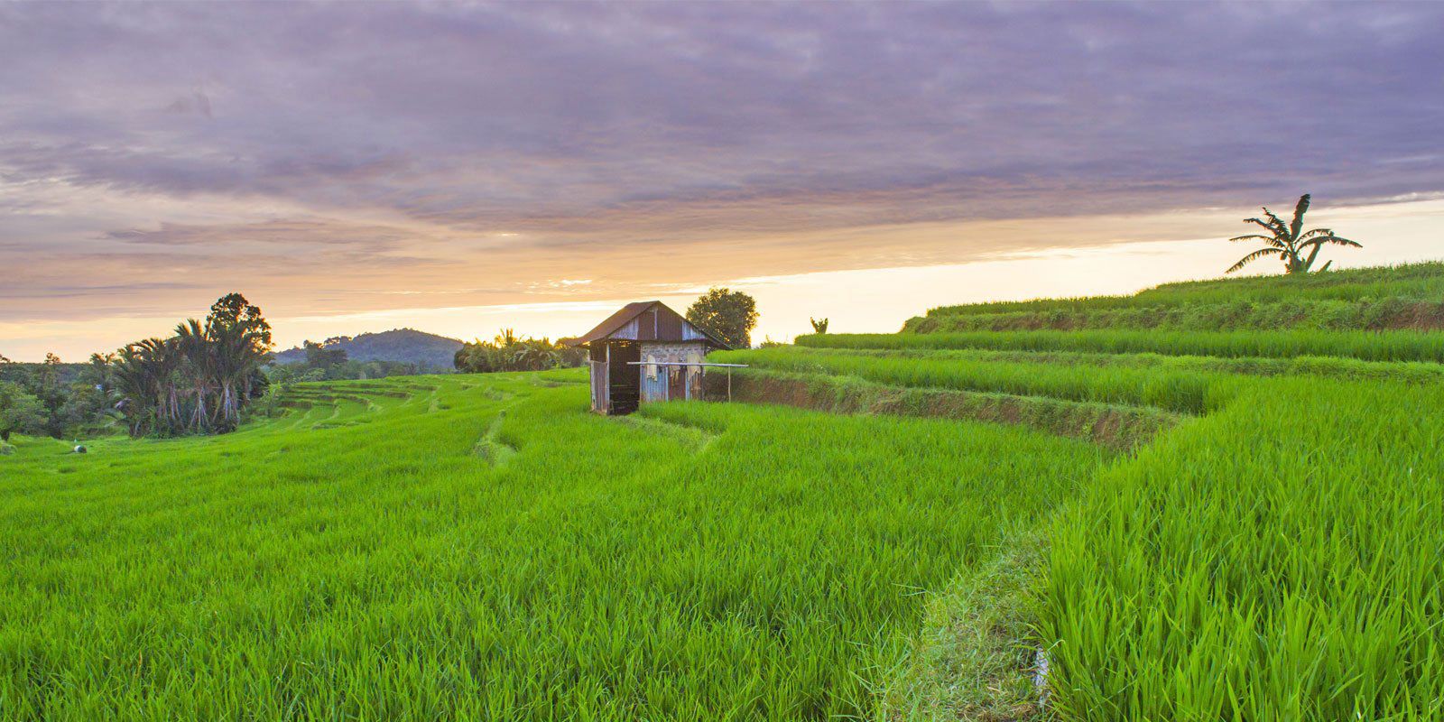 Best Time to Visit Cambodia: What you Need to Know Before Visiting
