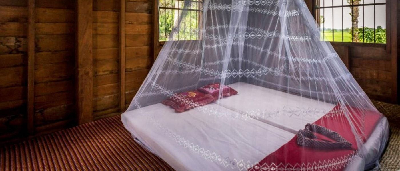 homestay-in-Siem-reap0601.jpeg