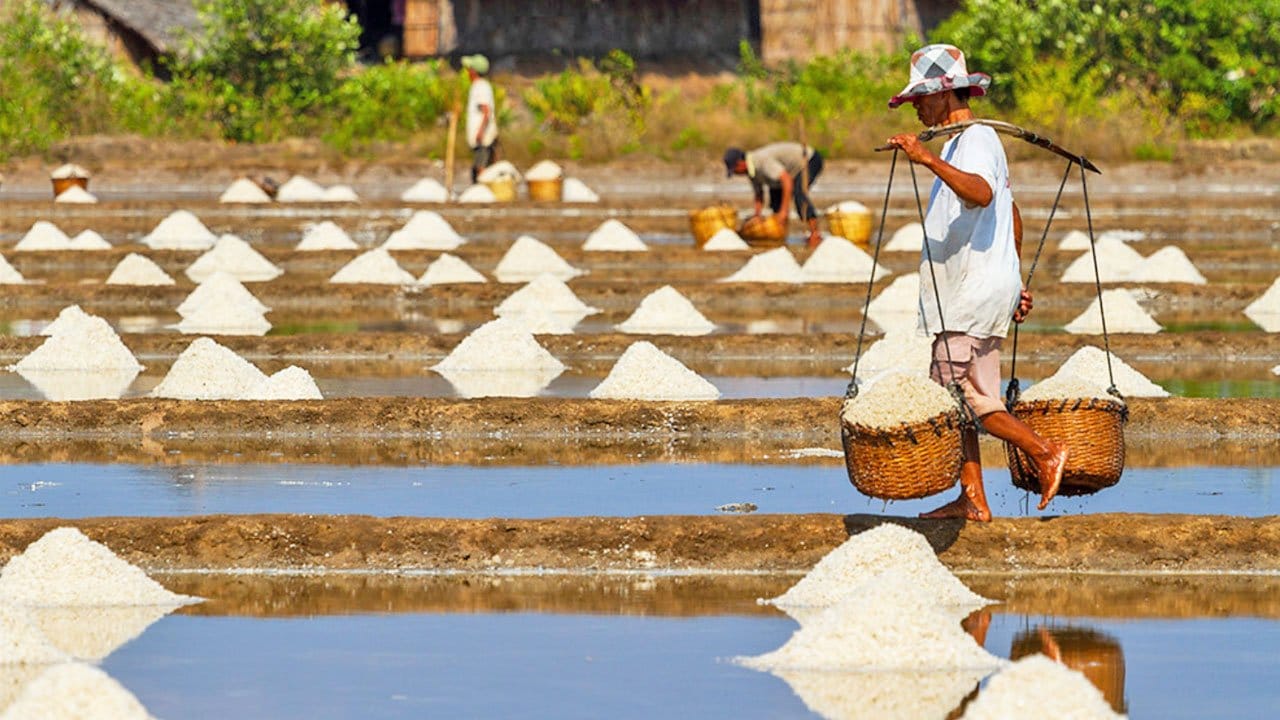 kampot-salt-farm2812.jpeg